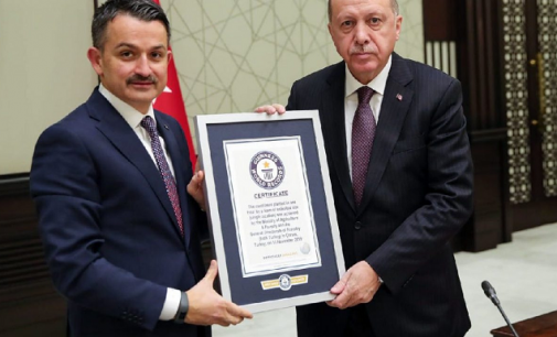 Erdoğan’a ‘En fazla fidan dikme rekoru’ belgesi