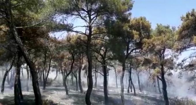 Gelibolu’da orman yangını: Altı hektarlık alan zarar gördü