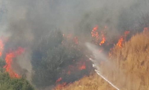 Ciğerlerimiz soluyor: Bugün 21 orman yangını, arife ve bayramda da 158 yangın çıktı