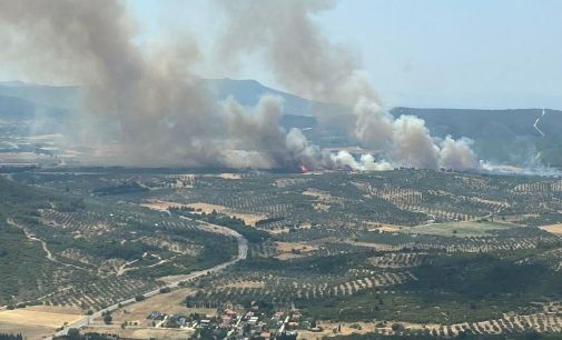 Foça’da orman yangını