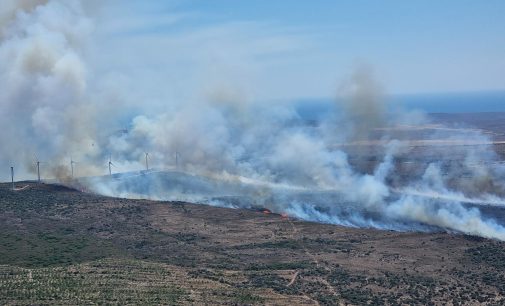 Çeşme’deki yangın kısmen kontrol altına alındı: Valilik yangının çıkış nedenini açıkladı