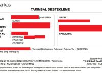 Depremzede çiftçilerin hesabına yatan destekleme paraları, elektrik şirketi DEDAŞ’ın hesabına aktı!